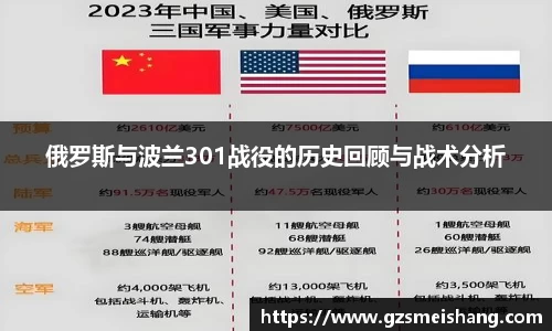 俄罗斯与波兰301战役的历史回顾与战术分析